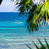 Seascape Roatan