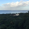 Seascape Roatan